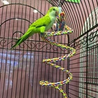 Parrot Hanging Nibble Toy Parrot Colored Cotton Rope Rotating Ladder Bird Cage Small Parrot Toy Pet Training Accessories
