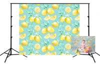 photography backdrop lemon step and repeat pattern background bunting wallpaper decoration girl baby kids photo studio backdrop