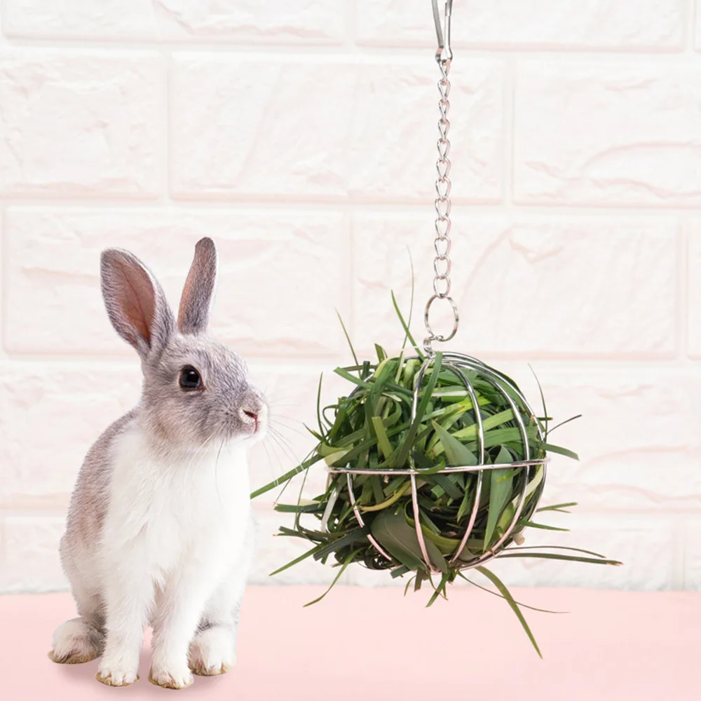 Круглый шар из нержавеющей стали для кормления домашних животных|Принадлежности