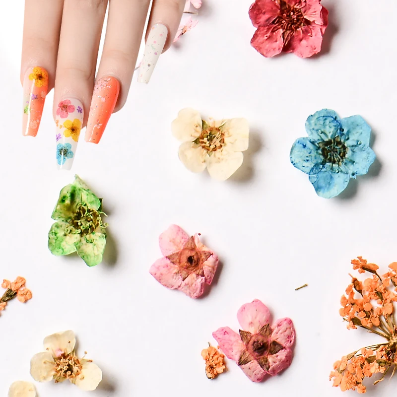 12 Colors Dried Flower for Nail Art Decorations Natural Real Flowers Dry Stick UV Gel Acrylic Tips Wheel | Красота и здоровье