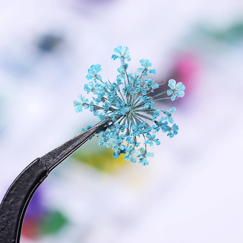 1 чехол 3D сухие цветы украшение для ногтей прекрасный лепесток цветок красота