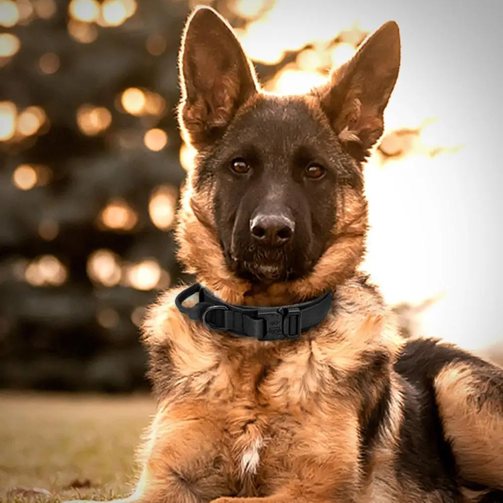 

Tactical Dog Collar Nylon Adjustable No Pull Pet Outdoor Training Supplies Beagle German Shepherd Labrador For Medium Large Dog