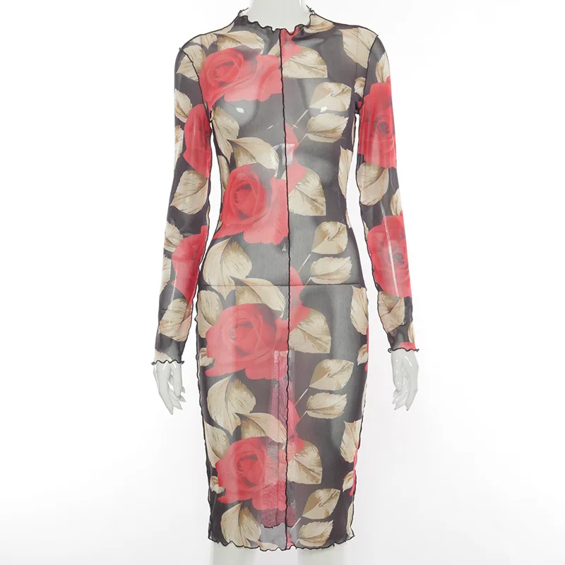 

European and American Foreign Trade Women's Clothing 2021 Spring New Rose Printed Mesh Long Sleeve Mid-Length Dress Women