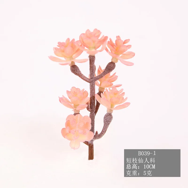 Моделирование суккулентного растения горячая Распродажа одностворчатое