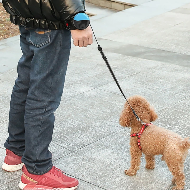 

3M Durable Leash Automatic Retractable Nylon Cat Lead Extending Puppy Walking Running Lead Roulette For Dogs