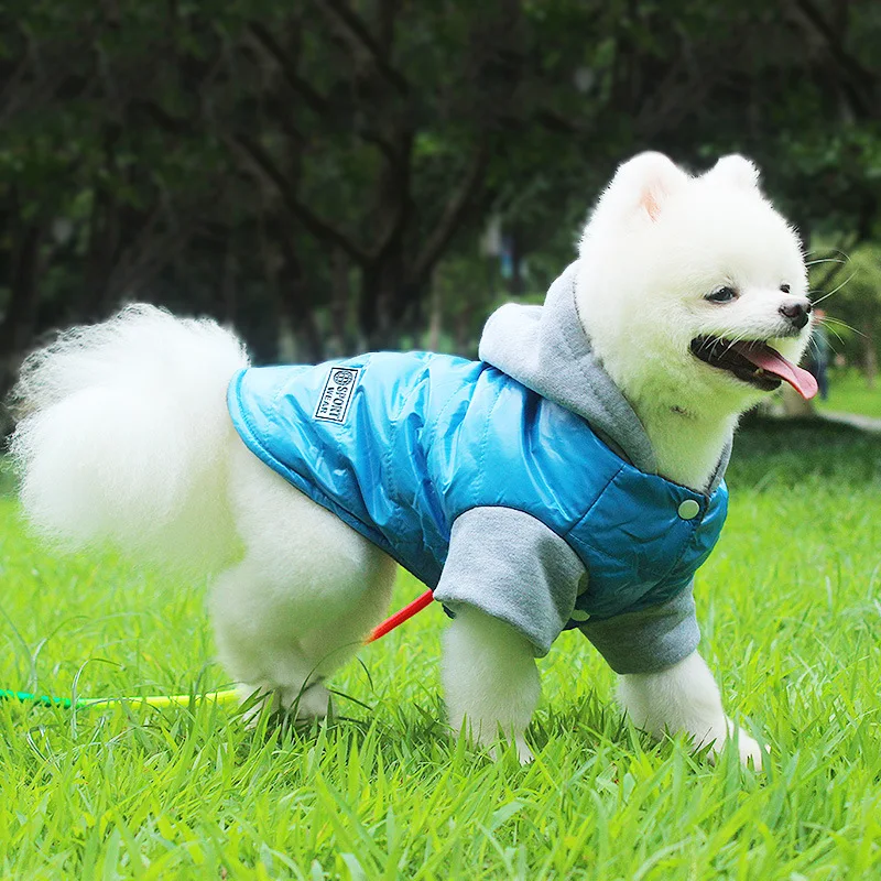 

Fenice Dog Hoodie Winter Pet Dog Clothes For Dogs Coat Jacket Cotton Ropa Perro French Bulldog Clothing For Dogs Pets Clothing