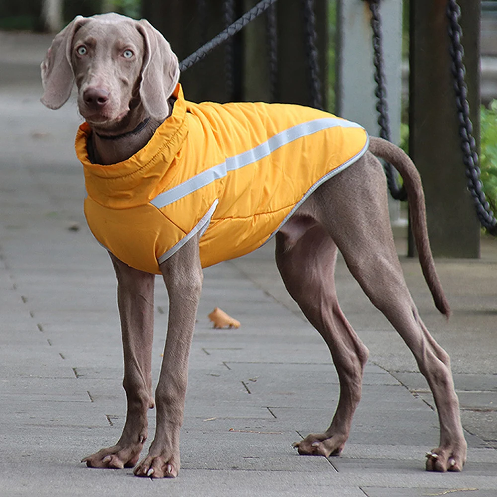 

Pet Dog Clothes winter coat Reflective padded vest Warm Jacket Coat For Small Large Dogs French Bulldog Clothing Supplies XL-6XL