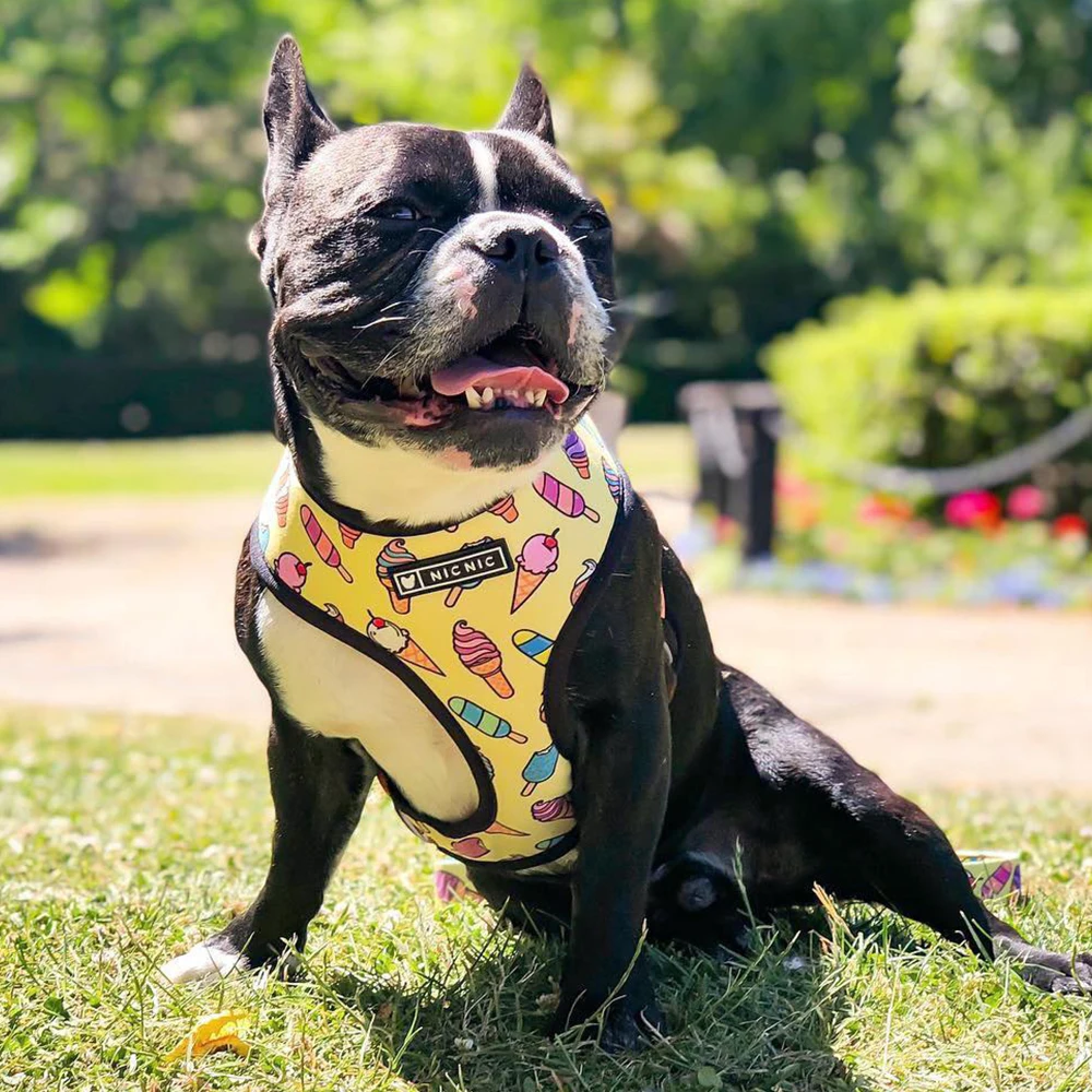 

Summer Small Dog Harness No Pull Dog Harnesses Vest for Small Medium Dogs Harness Leash Set Breathable Pets Puppy French Bulldog