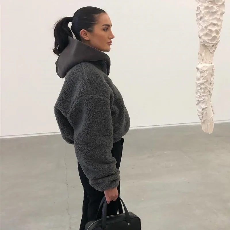 

Darlingaga Fashion Lamb Wool Autumn Winter Coat Women Jacket Fleece Shaggy Warm Cropped Jackets Overcoat Outwear