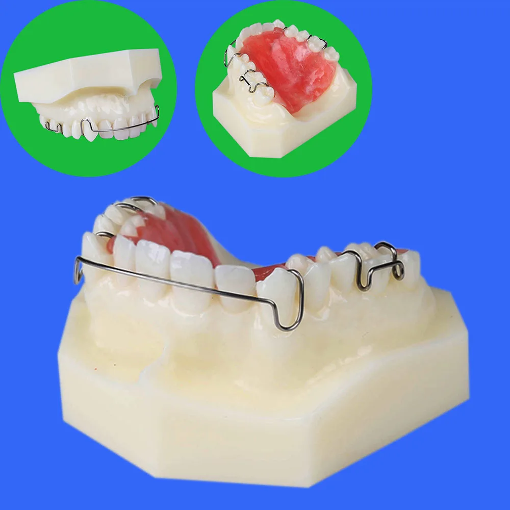 Демонстрация стоматологических ортодонтических зубов 1 шт.|dental retainer|model dental |