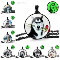 glow in night necklace cool husky photo luminous glass cabochon long chains bohe pendant necklace for women men party jewelry