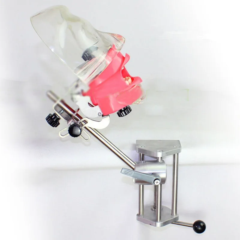 Обучающая фантомная головка модель стоматологического практикой подготовки