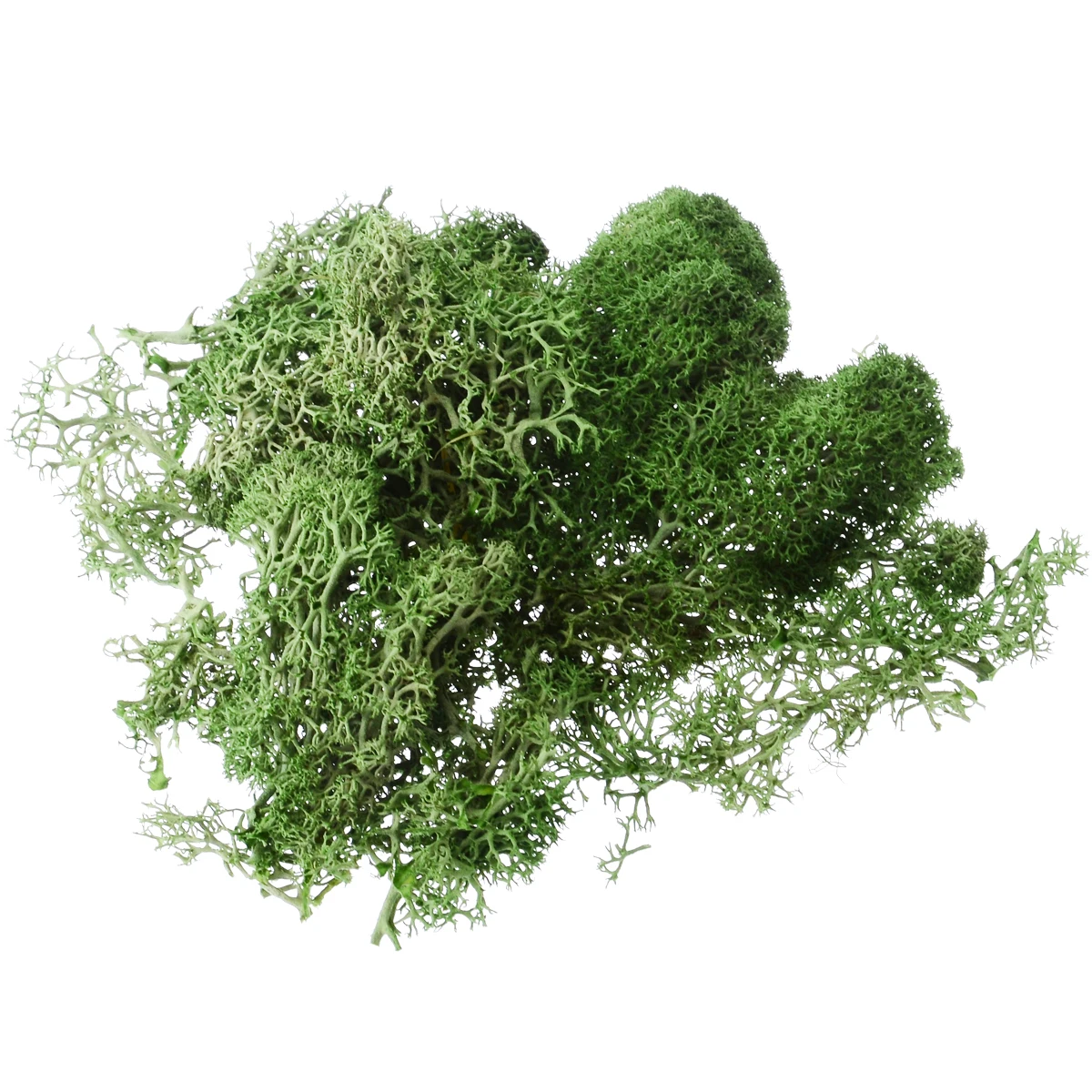 Light Green 1 шт 10 г красочные искусственные мхи поддельные растения консервированные сушеные искусственные ремесленные цветы для домашнего сада Вечерние - Цвет: Light Green