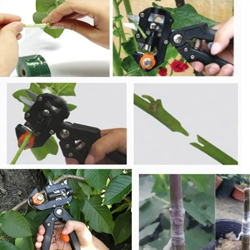 

1set Grafting Garden Grafting Tool Professional Branch Cutter Secateur Pruning Plant Shears Boxes Fruit Tree Grafting Scissor