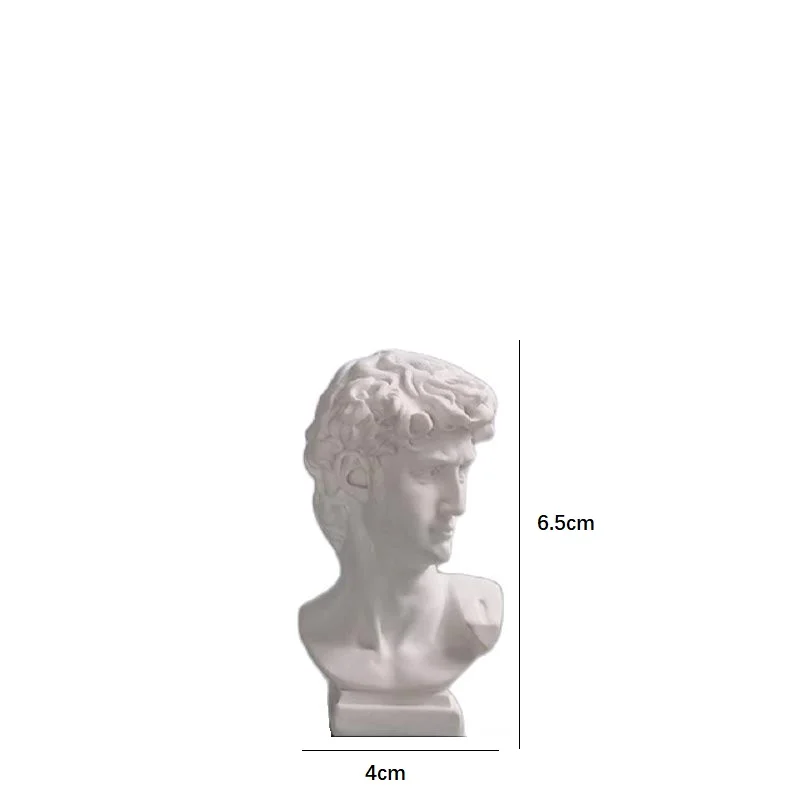 

16cm David Portrait Head Vase Decorative Ornaments Resin Household Flowers Art Pen Holder Storage Desk Decoration