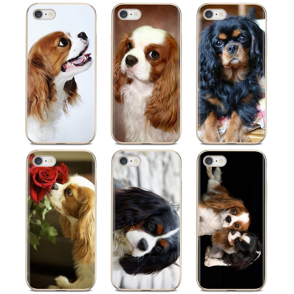 Держатель французский Бульдог спаниель Щенки для Huawei Честь Y5 2018 2019 8S 9X Pro 20 10 10i Lite