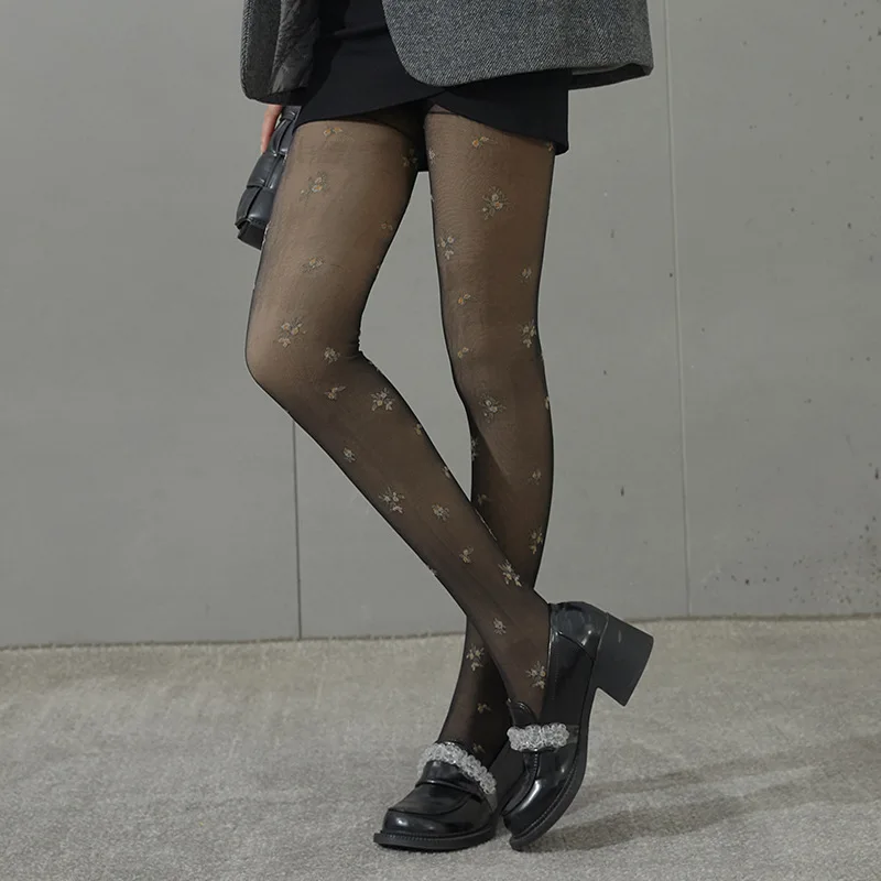 Winter New French Broken Jacquard Perspective Double-layer Thickened Plush Warm Silk Stockings Leggings Lolita Accessories Socks