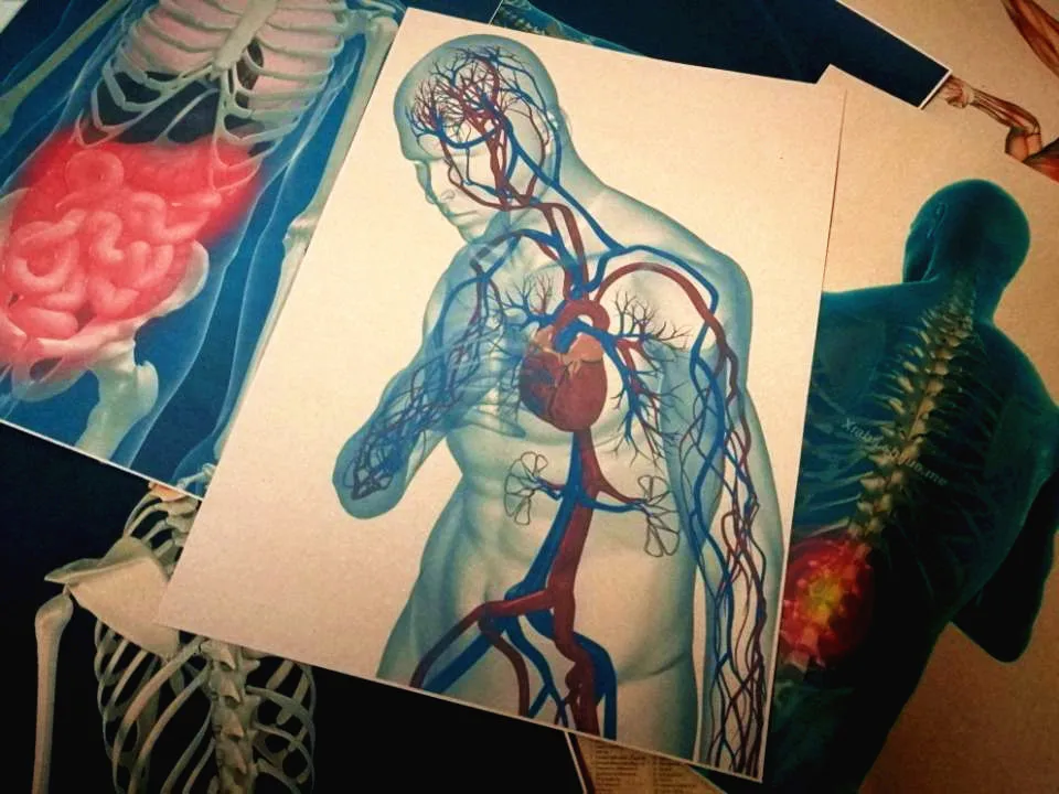 Фото Ретро 3D рентгеновское сканирование человека анатомия плакаты скелетного