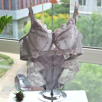 plus size bra panties setst brassiere sexy underwear set b c d e f g h cup embroidery women lingerie set bras 38 40 42 44 46 48
