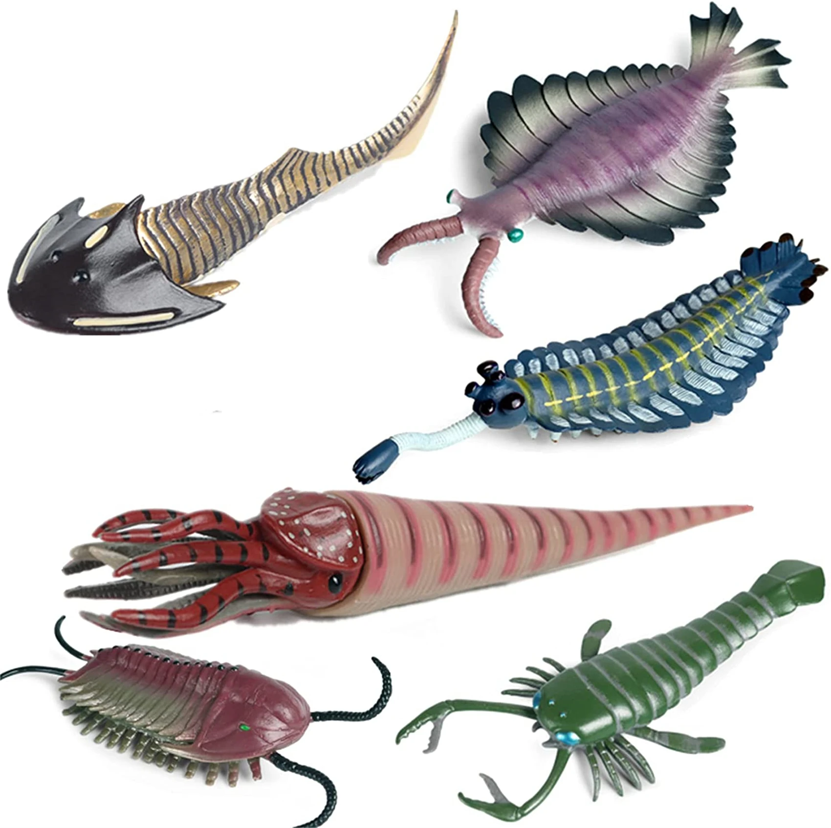 6 قطعة البحرية الحيوان الشكل السيفالابيس Eurypterus تريلوبيتا Anomalocaris opabnia أورثوسيراس محاكاة لعبة تعليمية