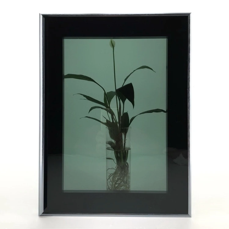 Популярные Заказной Алюминий рамка Кухня шкафа стеклянные дверцы доступны в