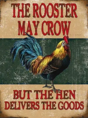 

Metal Signs The The Rooster May Crow 8x12 Signs Tin Sign Personalized Wall Decor