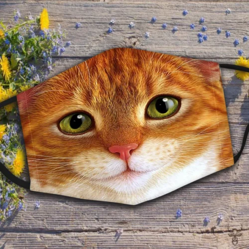 

Funny Orange Cat Face Mask Adult Face Mask Reusable