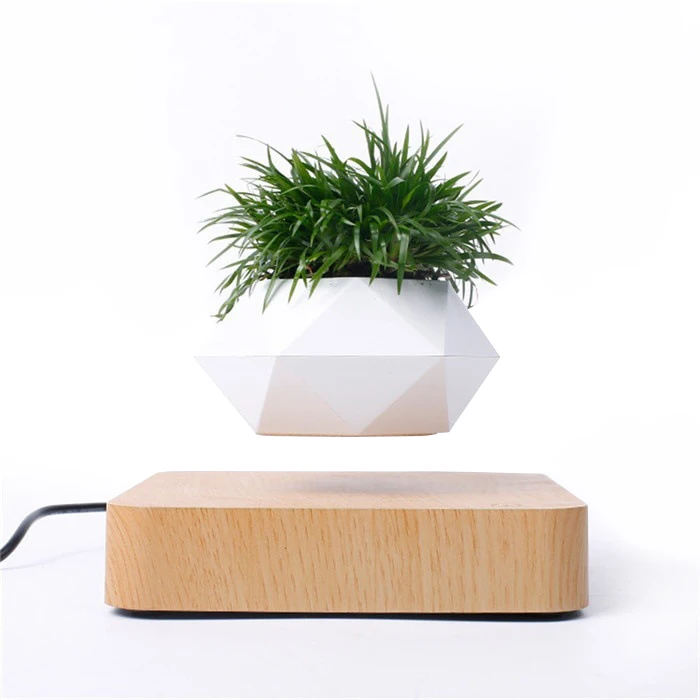 

Dropshipping Floating Magnetic Levitating Air Bonsai Pot Rotation Flower Pot Planters Levitation Suspension Flower Floating Pot