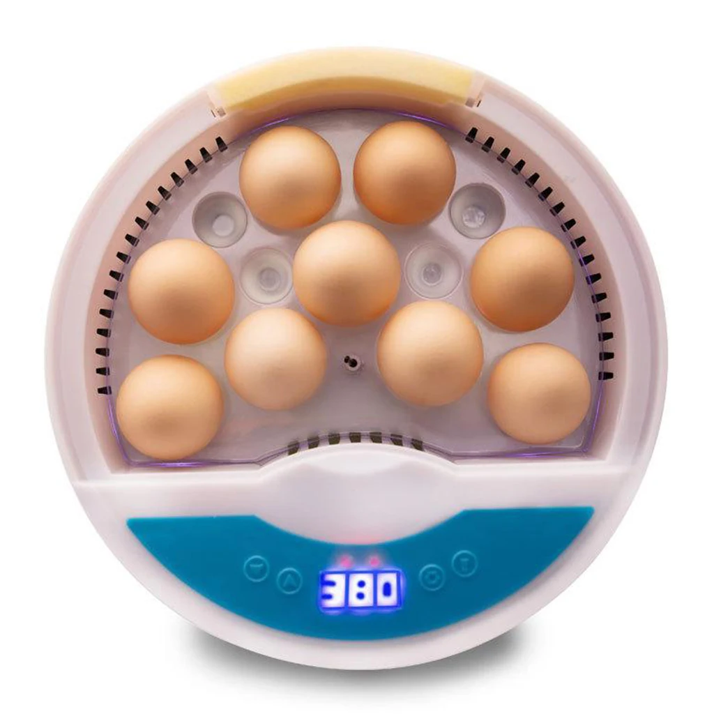 

Digital Mini Fully Automatic Egg Incubator with Low Noise Ceramic heater, 9 Eggs Poultry Hatcher for Chickens Ducks Goose Birds