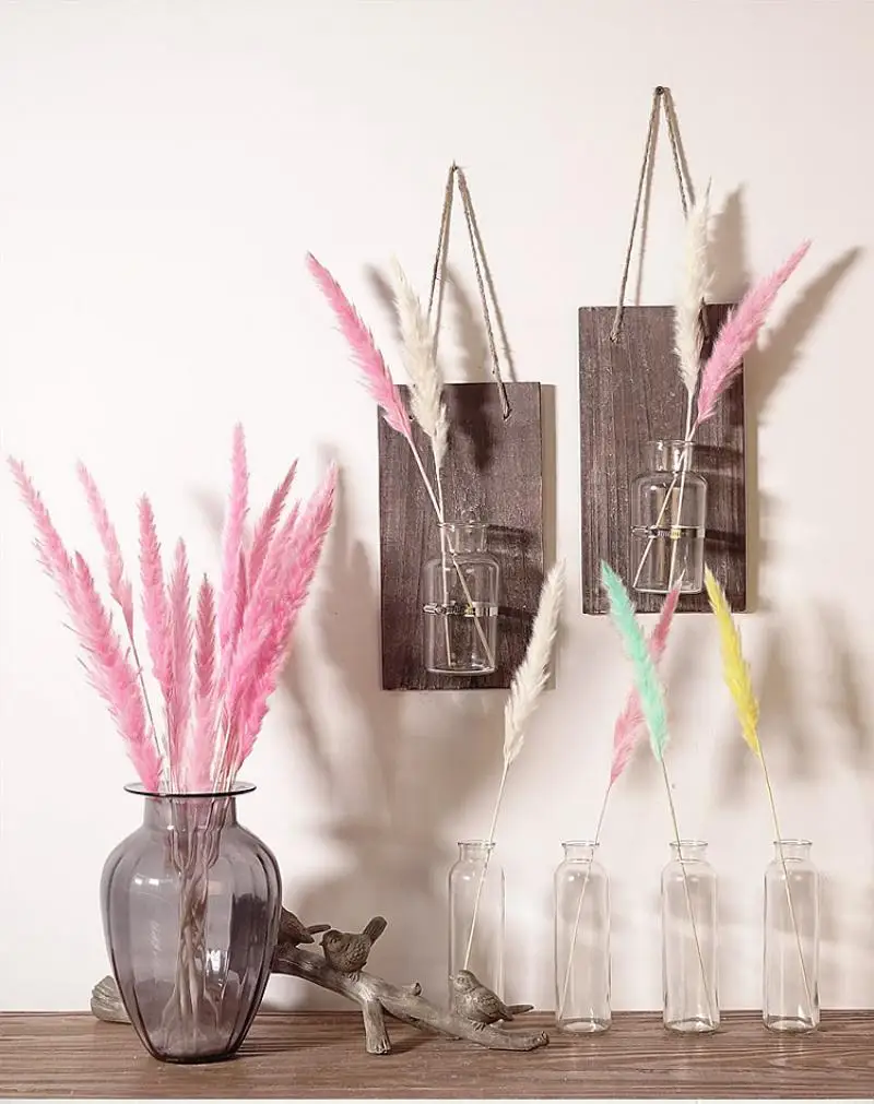 20 шт. Bulrush Натуральные Сушеные маленькие пампасы травяные фрагмиты растения