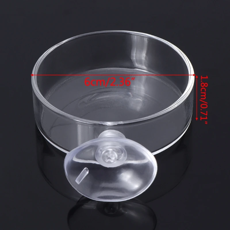 

Fish Tank Feeder Aquarium Shrimp Glass Feeding Bowl Clear Dish Tray