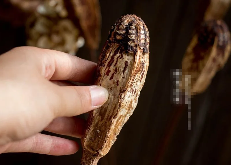 Европейский для наземного домашнего интерьера цветок сушеные цветы украшение