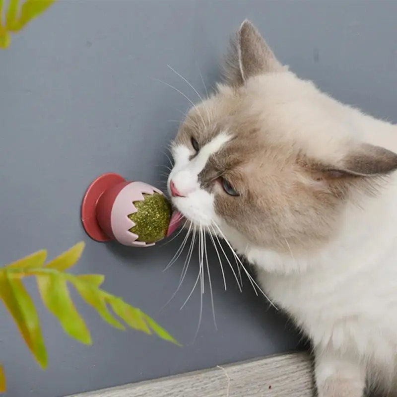 

Cat Toys Cat Treat Toys Snack Self-Adhesive Rotated Catnip Ball Cats Wall Mount Molar Teething Toy For Cats Ball