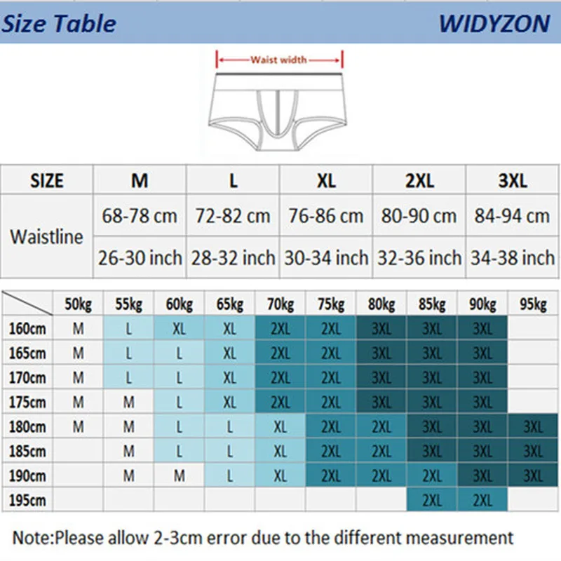 

WIDYZON Sexy Men Briefs Underwear Men's Seamless Mesh Briefs Shorts Comfortable Fit Male Underpants Quality Breathable Panties
