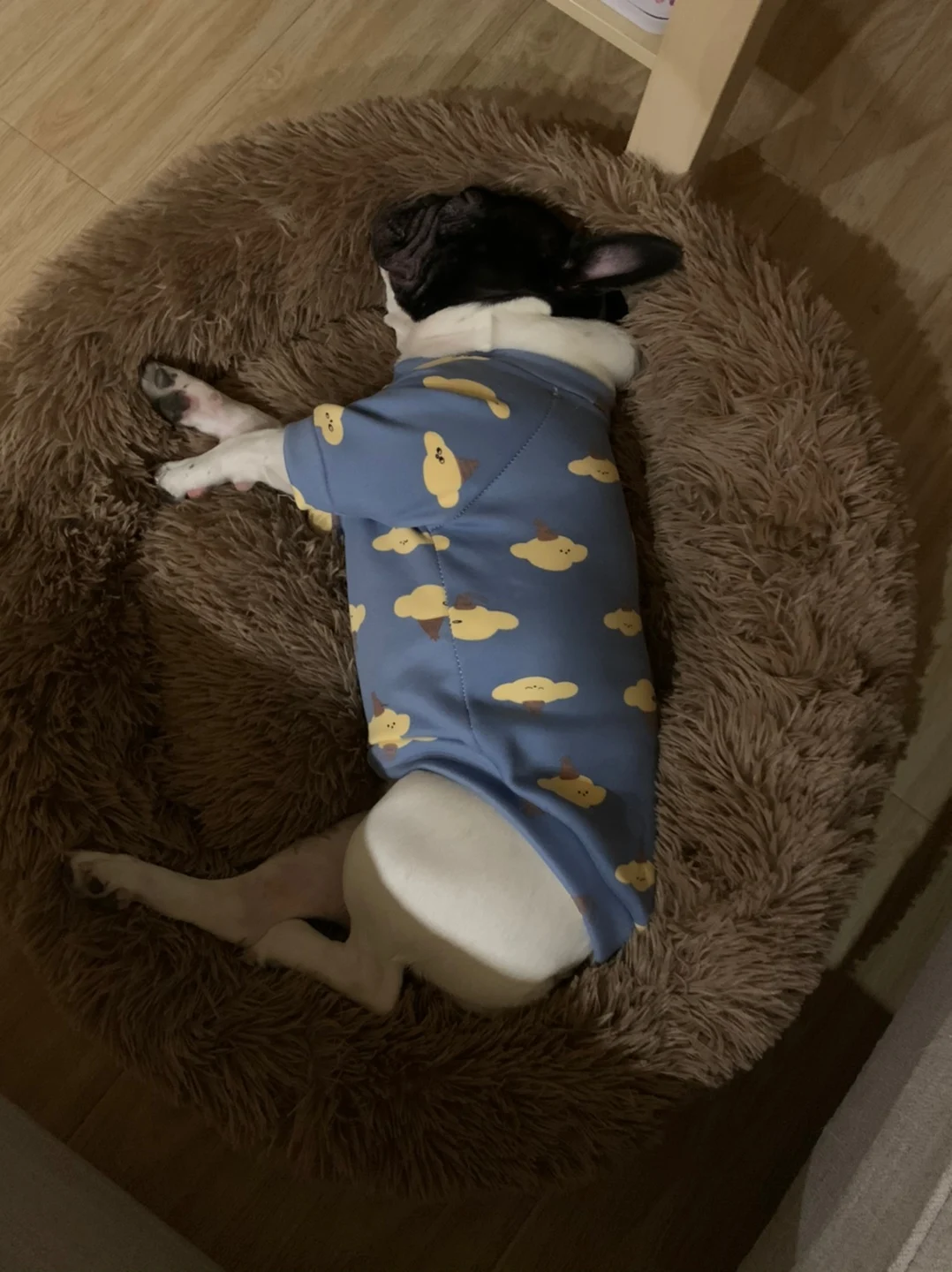 Моющаяся кровать для питомца собаки питомника кошки теплый удобный дом легко