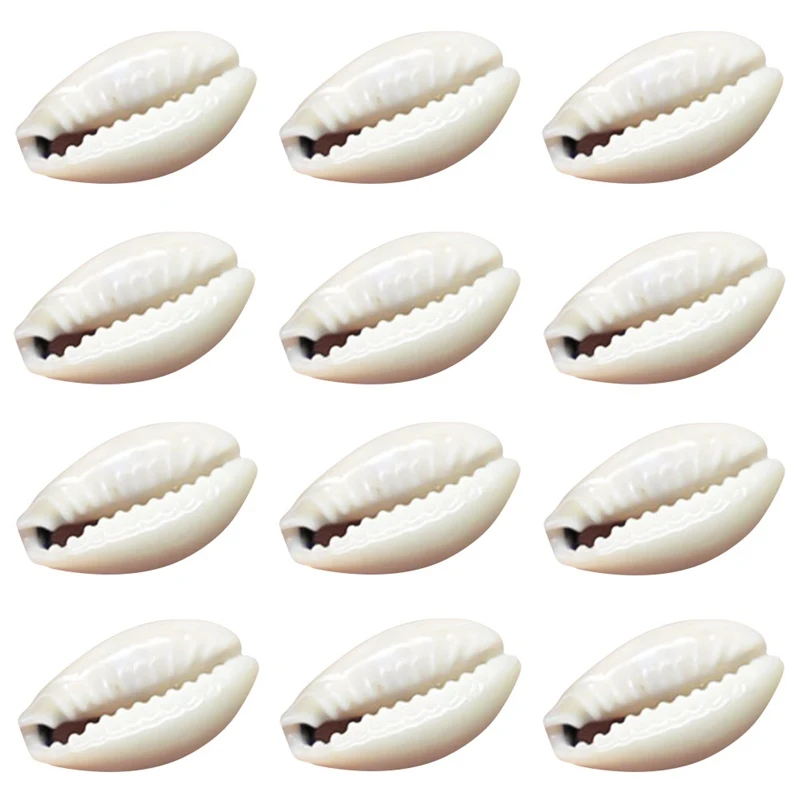 

50pcs 1.5/2cm Small Bulk Cut Beach Sea Natural Shell Conch Beads Cowry Cowrie Tribal Jewelery Craft Accessories Holes DIY