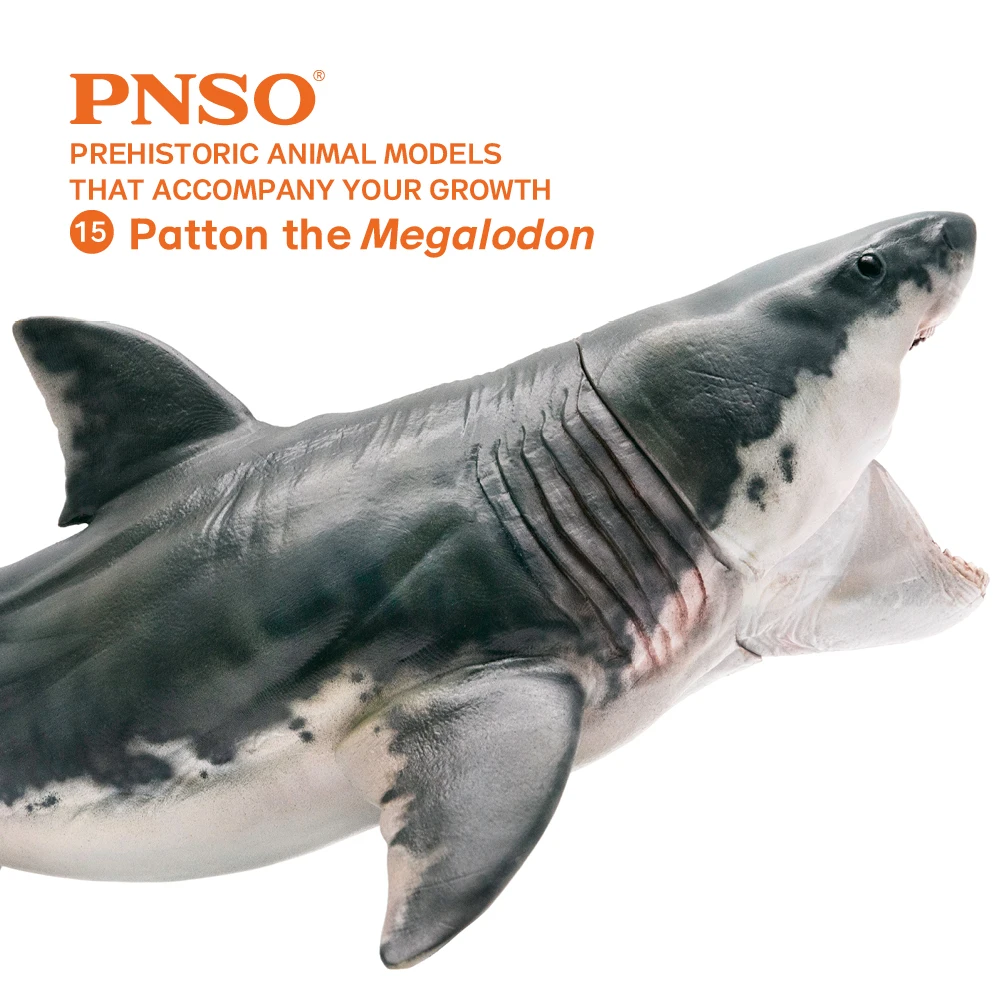 PNSO доисторические модели животных: 15Patton The Megalodon (большая белая акула) 6 2