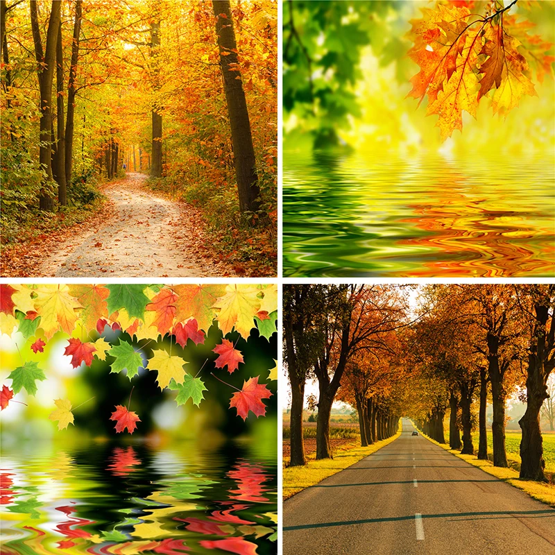 Nitree вода отражение желтые листья осенний лес дорога пейзаж фон фотостудия