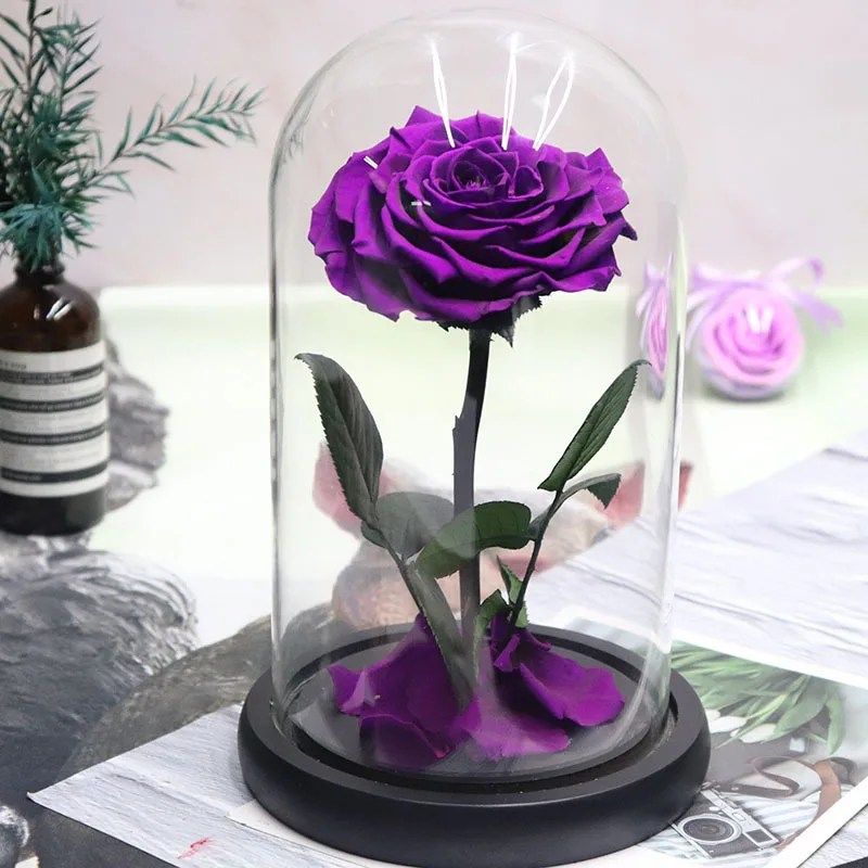 Purple 11 цветов, Красавица и чудовище, красная Праздничная Роза в стеклянном куполе, свежие цветы на День святого Валентина, подарок на Рождество - Цвет: Purple