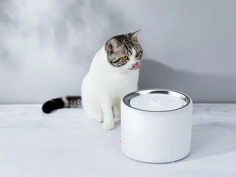 Новейший PETKIT электрический питомец кошка питьевая вода для собак диспенсер Фонтан автоматическая кормушка для собак квадратная поилка для щенков кошек