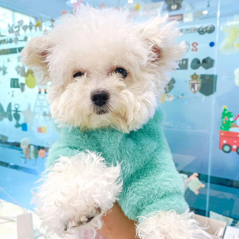 Pet Clothes Dog Clothes Hooded Sweater dinosaur Cartoon Transformation Winter Warm Plus Cashmere Christmas Halloween Costume