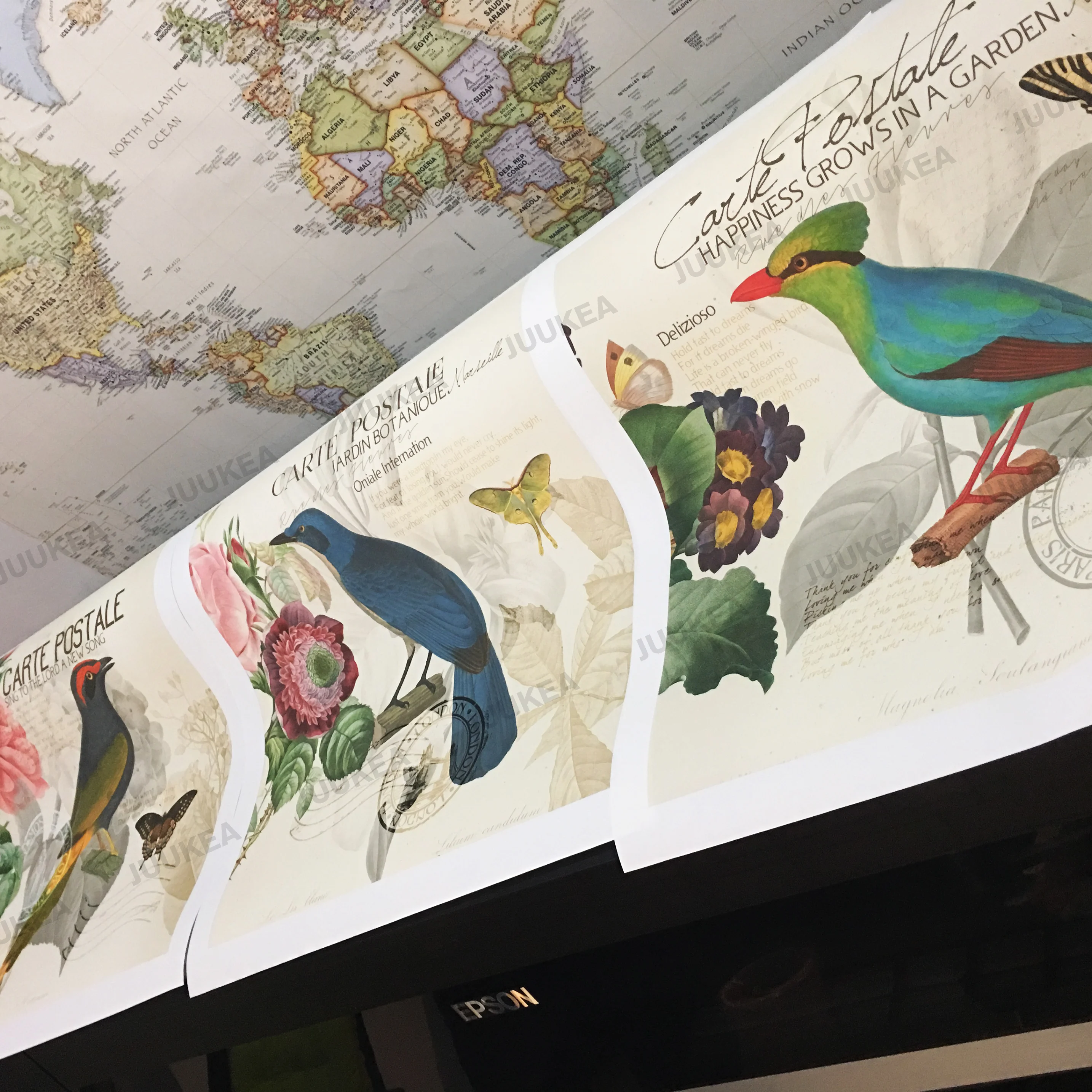 4 шт. 78x78 см Красивая птица открытка плакат холст Книги по искусству печати