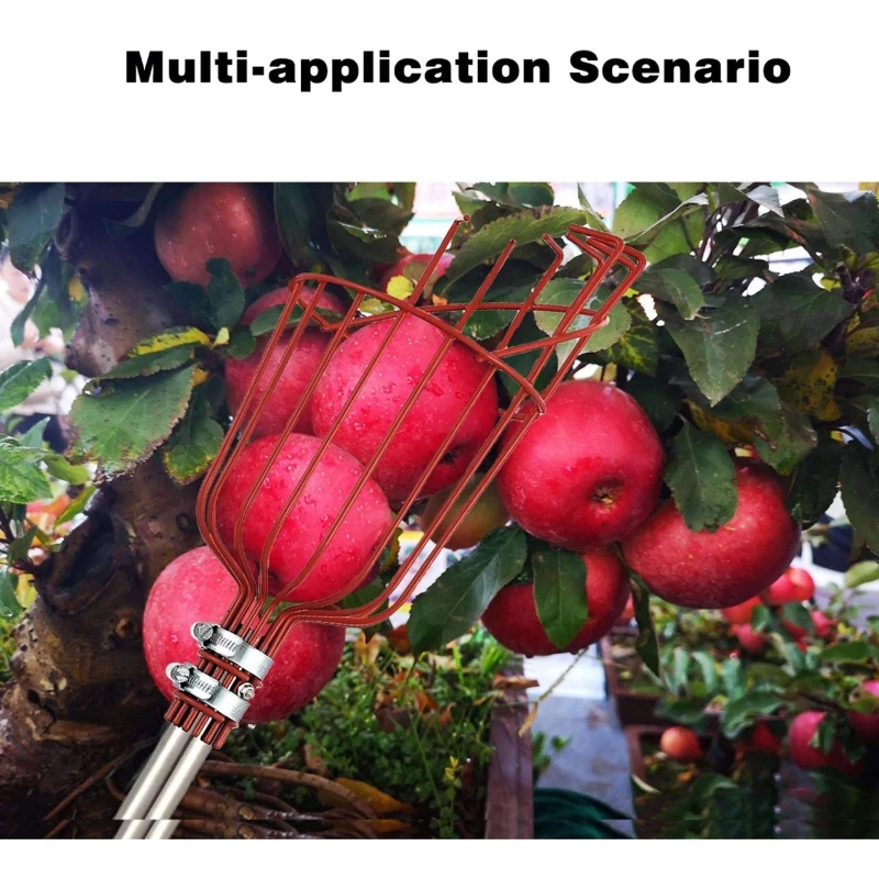 

Detachable Stainless Steel Handle High Altitude Fruit Picker with Large Basket