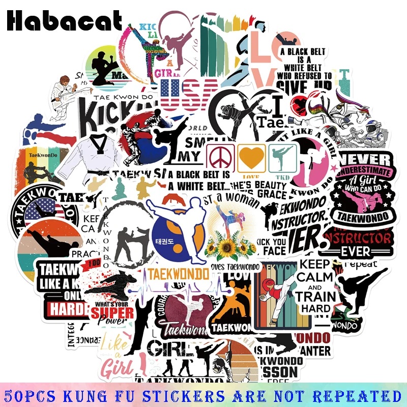 10/50Pcs Kung Fu Cartoon Taekwondo Stickers For Motorcycle Phone Skateboards Laptop Luggage Pegatinas Waterproof Graffiti Decals - купить по