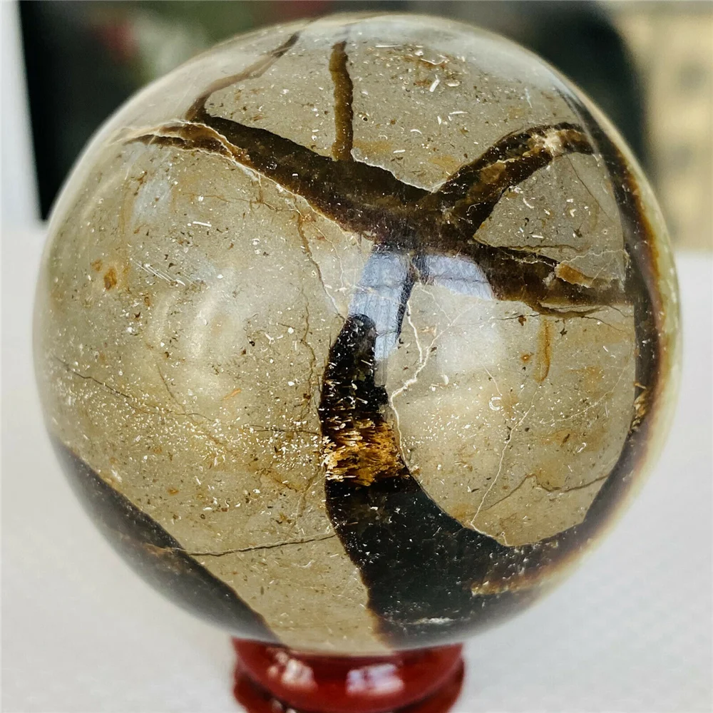 

Natural turtle stone polished crystal unique pebble ball from Madagascar
