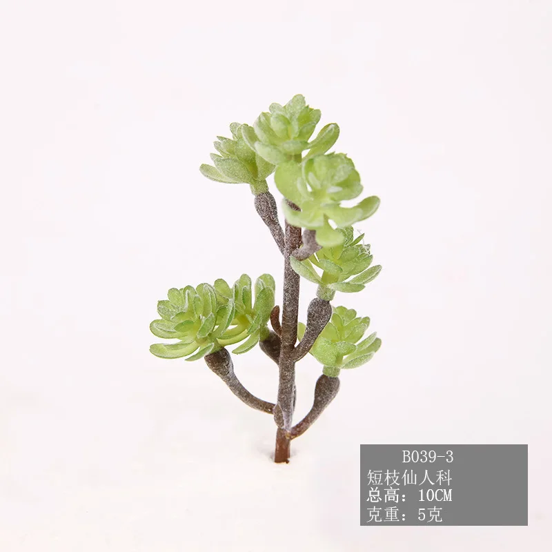 Моделирование суккулентного растения горячая Распродажа одностворчатое