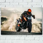 Холст для живописи мотоцикл 790 супер велосипедистом гоночный картина шелковой настенные художественные плакаты и принты для гостиной домашний декор