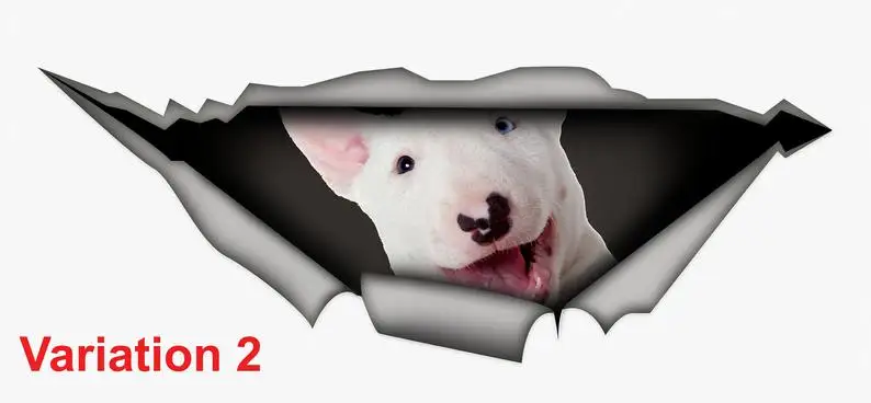 

2021 Bull Terrier car decal , 3d decal, car decoration, pet decal, dog sticker, dog decal