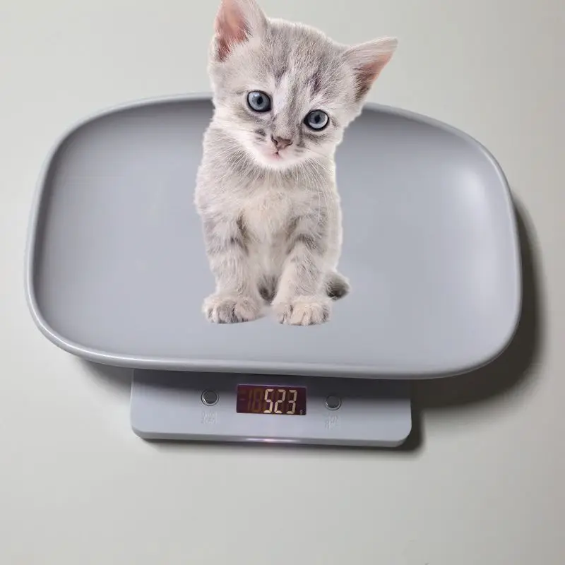 

1g-10kg Pet Dog Cat Animal Scale Digital Baby Infant Weight Scale (kg/oz/lb) LCD