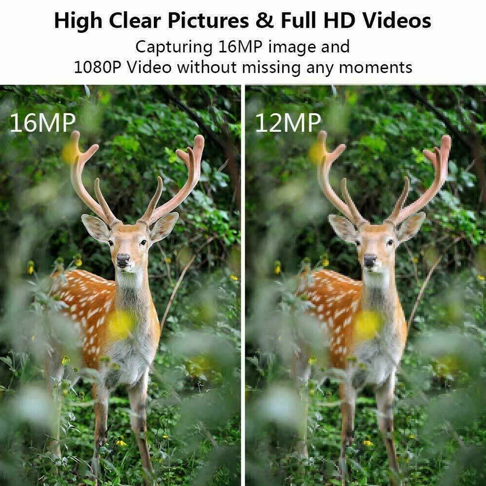 16MP 1080P HD скаутинг дикий Водонепроницаемый ABS наружная фотография животное